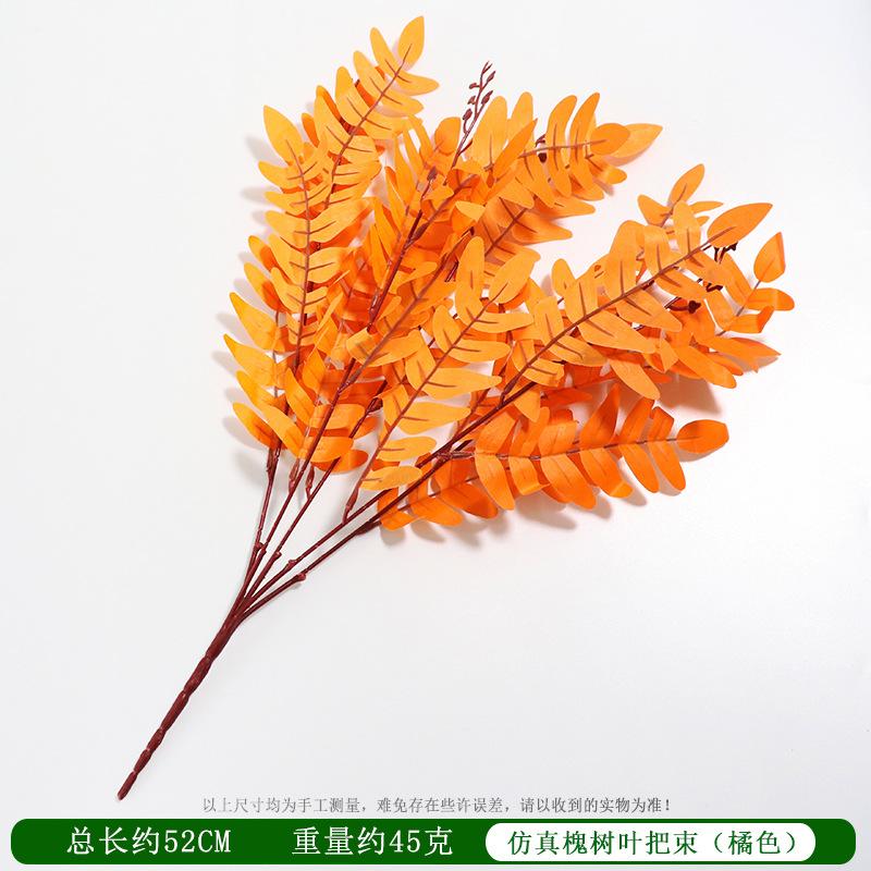 橘色.jpg