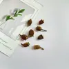 Pendientes de Planta Fruta Bellota Hechos a Mano DIY Fruta Pendientes Personalizados Creativos Material Chica Linda Pendientes Retro