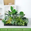 Combinação de Paisagismo com Plantas Verdes Simuladas Hc-At7, Flores Simuladas e Decorações de Flores Artificiais, Ornamentos Decorativos para Floreiras de Pátio Externo