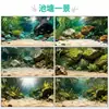Papel de Fondo para Acuario Pintura de Imagen de Alta Definición Fondo Decorativo para Acuario Fondo Paisajístico Papel Tapiz Engrosado Pintura de Fondo para Acuario de Alta Definición