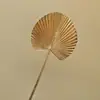 Material de Balde de Ano Novo 2025 Véspera de Ano Novo Fruta Vermelha Folha de Ouro Folha de Ginkgo Folha de Leque Tamanho do Leque Leque Redondo Costas de Tartaruga Dourado