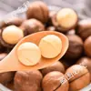 Leche de Macadamia Frutos Secos con Sabor 500g Cremosos Frutas de Verano Frutos Secos Semillas Tostadas y Frutos Secos Snacks para Mujeres Embarazadas Nueva Llegada
