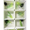Plantas aquáticas artificiais aquário tanque de tartaruga berçário de filhotes de tartaruga prevenir mordida na cauda prevenir lesão prevenir afogamento criação de tartarugas