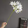 Galho Único Simulado de Agapanto, Lírio Africano, Phalaenopsis, Espiga Azul Púrpura, Modelo de Casa, Decoração de Casamento Atacado