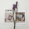 DIY Flor Eterna Nomeolvides Flor Seca Venta al por Mayor Decoración para el Hogar Flor Preservada Apto Regalo de San Valentín Accesorios para Boda