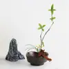 Macetas de Cerámica Hechas a Mano, Recipientes para Arreglos Florales Estilo Zen, Contenedores para Paisajes Hidropónicos, Floreros, Exhibidores de Escritorio para Plantas Verdes