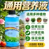 Solución Nutritiva Planta Tipo Universal Maceta Hidropónica Bambú de la Suerte Potos Planta del Dinero Solución Nutritiva Flor de Rosa Fertilizante Especial