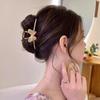 Pinza Metálica Retro Estilo Corte Mariposa Estilo Frío Cabello Grande Pinza de Tiburón Horquilla para Cabello Accesorios para el Cabello Venta al por Mayor