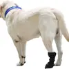 Produtos Mais Vendidos no Exterior: Sapatos Confortáveis para Cuidados Pós-Cirúrgicos de Pets, Coberturas Impermeáveis para Patas de Cachorro com Feridas, Sapatos Antiderrapantes para Uso Externo