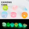 Concha Arcoíris Océano Tropical Luminoso Accesorios DIY Vida Marina Colorida Llavero Casero Color Gelatina Creativo