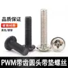 Tornillos Máquina Redondos de Acero Inoxidable 304 con Cabeza Phillips y Dientes Antideslizantes, Tornillos Embutidos, Tornillos Máquina Antideslizantes Negro Hierro