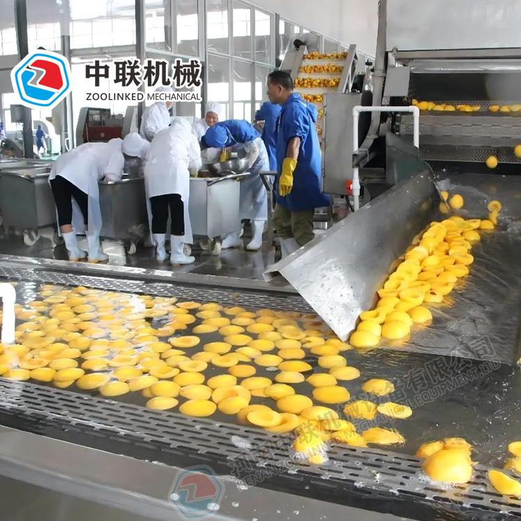 水果罐头生产设备28.jpg