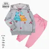 Comercio Exterior Ropa Infantil Primavera y Otoño Conjunto Infantil de Dos Piezas Material Sudadera Sudadera con Capucha Ropa Infantil para Bebés Ropa de Salida [Al por Mayor]