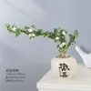 Baoshi Nieve de junio maceta hidropónica bonsái forma de acantilado oficina interior mesa fácil de cuidar plantas de follaje mesa de centro agua