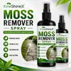 Spray KineShineX para Eliminar Musgo de Exterior - Limpiador para Patios, Caminos, Superficies de Ladrillo y Piedra para Eliminar Algas y Musgo