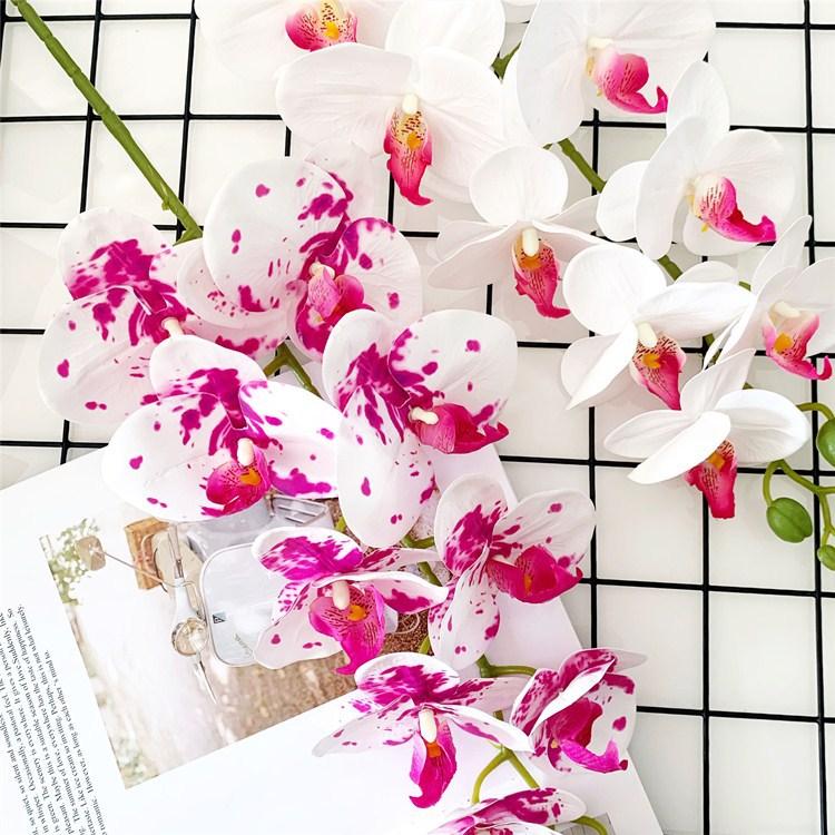 QQ图片20201119122715