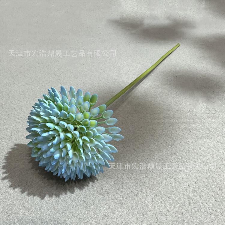 微信图片_202302241649142_副本