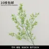 Plantas Verdes, Hierba de Junco, Hierba Bigote de Dragón, Fondo de Boda, Paisajismo de Ventana Floral, Flores Decorativas para Boda en Bosque Blanco y Verde