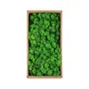 Musgo Eterno, Musgo Artificial, Accesorios Hechos a Mano, Materiales para Flores, Decoración de Paisajismo de Paredes Verdes, Musgo Artificial, Musgo Simulado
