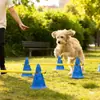 Equipo de Entrenamiento de Agility para Perros Cono Barril Obstáculo Vallas Reunión Deportiva Salto Ejercicio Físico Equipo Marcador Palo Border Collie