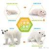 Juguete modelo de animal pequeño simulación ciclo de vida crecimiento rana tortuga pollo Montessori material didáctico preescolar venta al por mayor