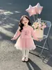 Vestido Aisha estiloso de manga comprida para meninas com tule para primavera e outono, novo vestido de princesa 2026 para bebês meninas, roupa de outono da moda