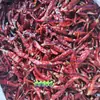 Tiras de Chile Seco, Sin Semillas, Ligeramente Picante, Extra Aromático, Picante Medio, Extra Picante, Chile Qin, Chile Chaotian, Tiras de Chile de Nueva Generación, Chile Diablo, Chile de Mar