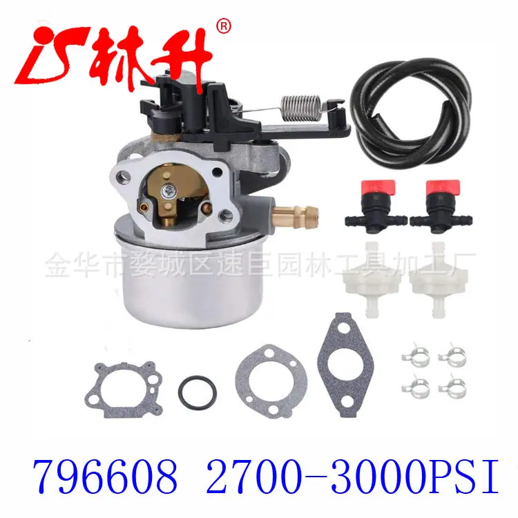 796608 Carburetor Kit Tune Up