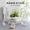 Jarrón de Vidrio de Borosilicato Alto para Micro Paisajismo con Boca Inclinada, Botella Ecológica para Suculentas, Contenedor para Paisajismo con Musgo DIY, Venta al por Mayor Transfronteriza