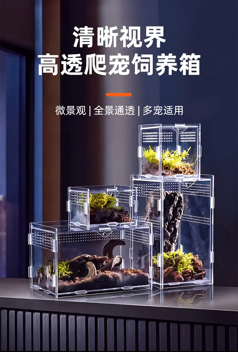 详情页_01.jpg
