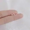 Brincos de Prata Esterlina 925 Novo Estilo Primavera Verão Pequenos Celebridade da Internet Douyin Venda Quente Brinco Simples Moderno Estudante Feminina Noite