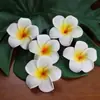 Cerimônia de Boas-Vindas Bacia Ritualística para Lavagem das Mãos Estúdio de Yoga Salão de Beleza Spa Clube Bacia para Lavagem das Mãos de Presente Bacia Ritualística de Bambu Outros