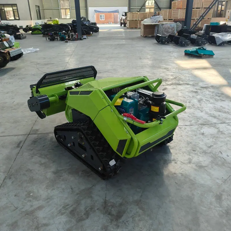 IMG20260108131551