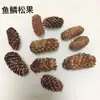 Envío Gratis 30 Piñas Flores Secas Decorativas Hecho a Mano Paquete de Materiales Creativos DIY Decoración del Hogar Ramas Secas Piñas Escama de Pez
