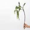 Colgante de planta Fruto de aliso Pegamento suave Fruto de frijol del amor Colgante de pared Decoración de paisajismo Accesorios para arreglos florales Seda suave