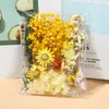 Flores Secas Naturales Flores Conservadas Flores Artificiales Pegatinas de Abanico Tarjetas de Felicitación de Flores Secas Marcos de Fotos Paquete de Materiales Hechos a Mano DIY