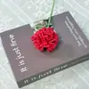 Flores de Ganchillo Clavel para Sesiones de Fotos de Cumpleaños, Flores de Ganchillo Navideñas, Ramos Tejidos con Hilo Degradado al por Mayor