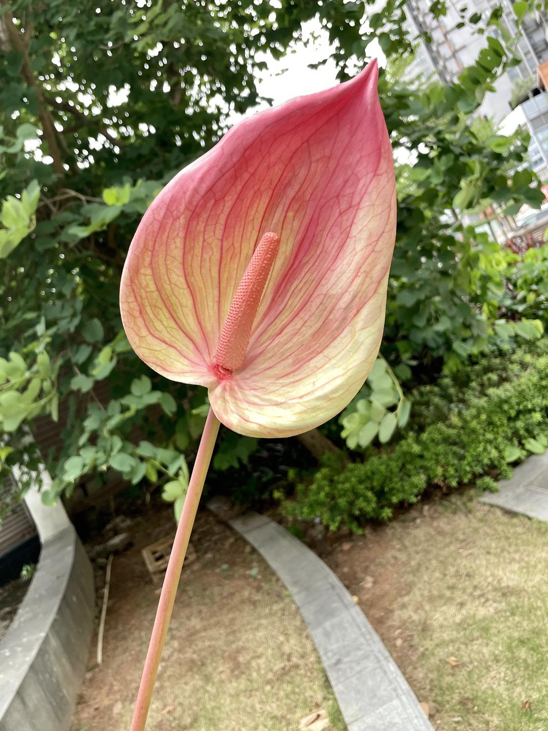 微信图片_20210721140354_副本.jpg