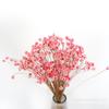 Flor Estrella Pequeña Flores Secas Margarita Brasileña Flor Eterna Fragancia Flotante Flores Mini Materiales Ramo de Labiales Kit de Materiales DIY