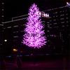 Venta al por mayor de fábrica Lámpara de árbol de flor de cerezo de hierro LED Altura Multicolor Opcional Impermeable para exteriores Ingeniería de parque Paisaje Luminoso