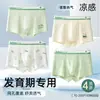 Ropa interior para adolescentes Niños Seda de Hielo Categoría a Niños Niños Niños Pequeños y Grandes Niños Período de Desarrollo Talla Grande Calzoncillos Boxer Verano