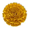 Flor de Cinta Clavel Tela Flores Plegadas Hechas a Mano DIY Pasadores para el Cabello de Niños Diademas Ropa Zapatos y Sombreros Accesorios de Flores