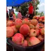 Granadas suaves de Huili, Sichuan, de Túnez, entrega 5/7/ 4.5 kg caja de regalo de fruta mediana-grande, caja colorida, caja completa de fruta fresca