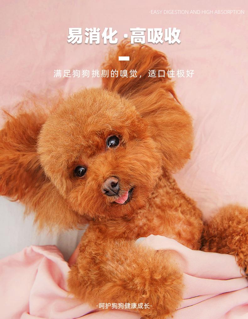 狗粮_09.jpg