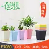 Macetas cuadradas pequeñas negras, gruesas y coloridas para suculentas, macetas cuadradas pequeñas de plástico para plántulas de plantas, para plantar plantas verdes de interior, venta al por mayor desde el fabricante