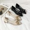 Zapatos Planos de Abuela de Primavera de Moda para Estudiantes Zapatos de una Sola Pieza para Mujer Estilo Hada Coreano Malla Encaje Punta Puntiaguda Zapatos Tipo Mocasín para Mujer Nuevo Estilo
