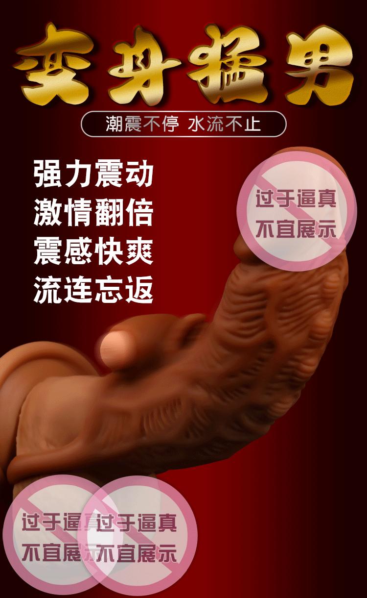 龙珠套_08