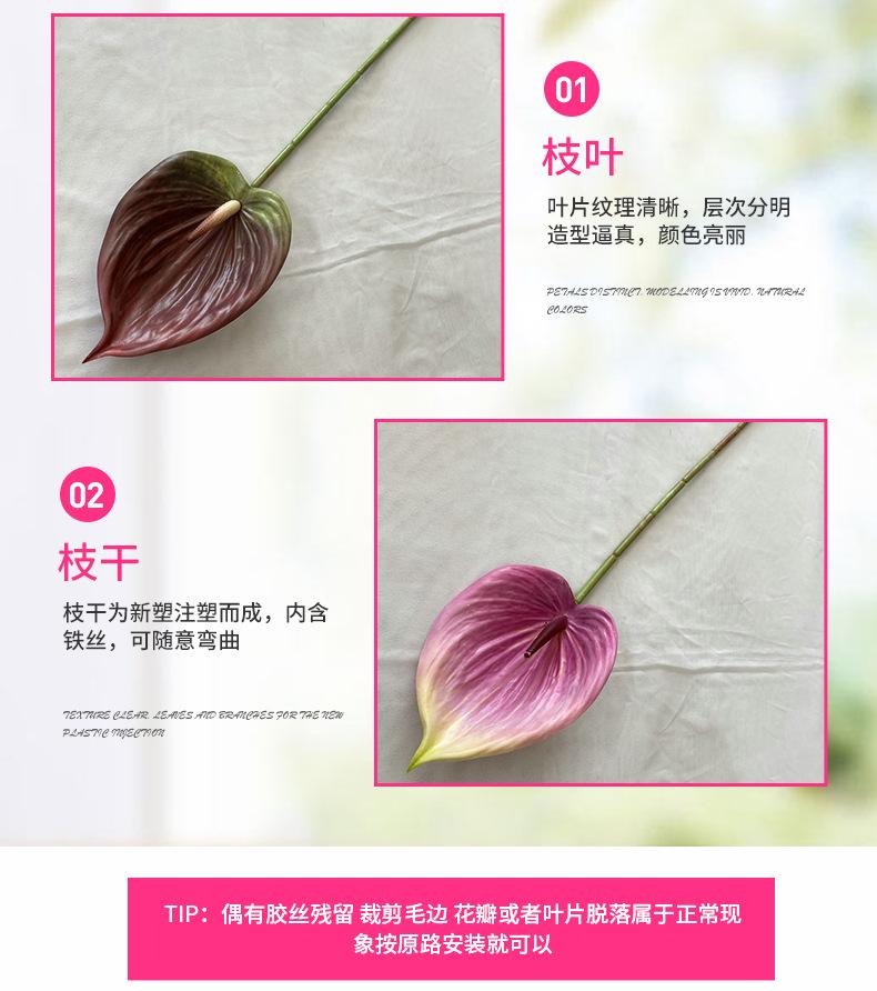 产品细节2-最终.jpg