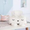 Set de Toallas de Papel de Peluche de Cerdo Lindo de Dibujos Animados, Conejo, Panda