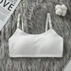 Sutiãs de Desenvolvimento para Crianças, Meninas de 10-14 Anos, Tops Regata Pequenos de Verão para Meninas, Lingerie, Camisolas, Tops Tubulares de Algodão Transfronteiriços para Alunos do Ensino Fundamental